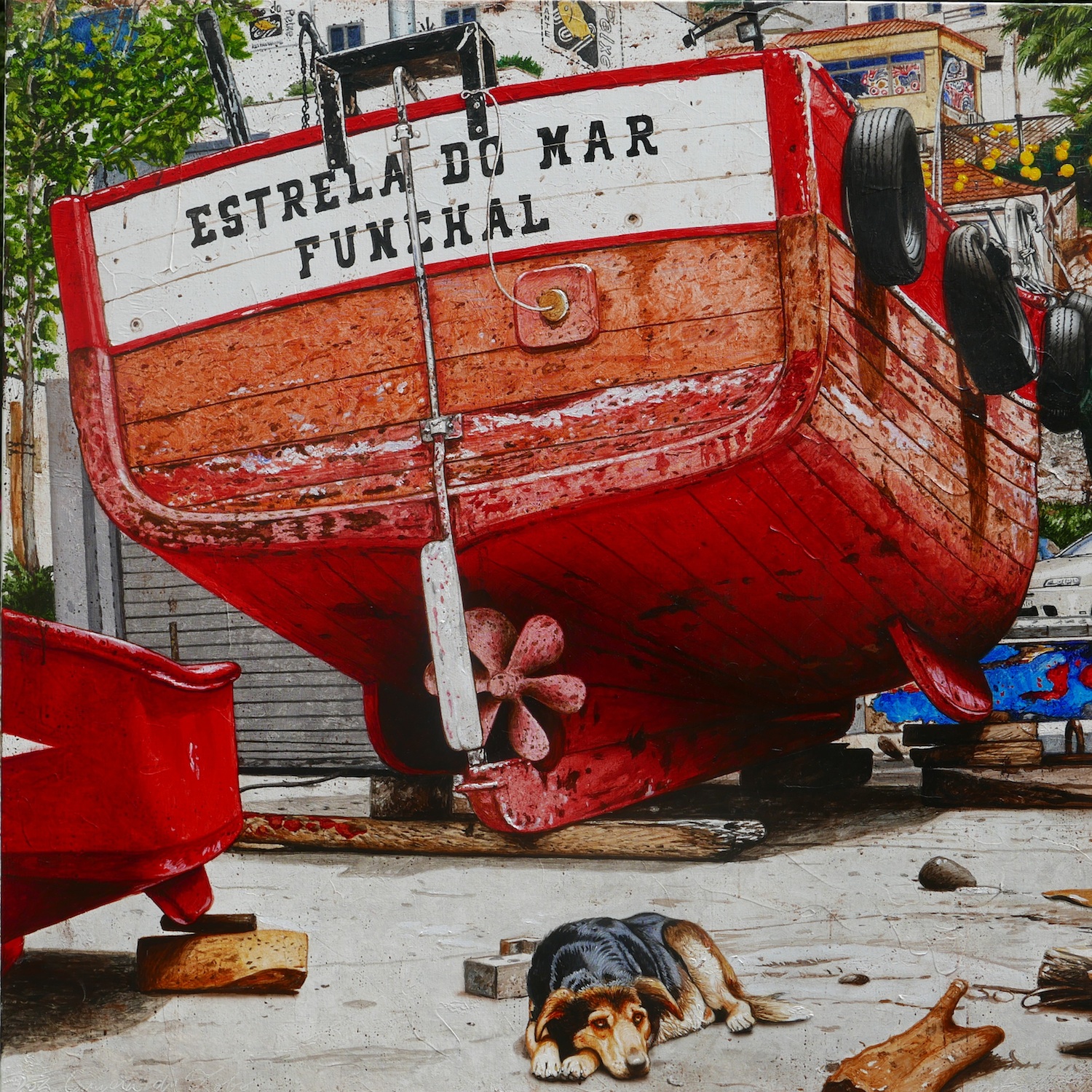 C&Atilde;&cent;mara de Lobos 120x120 2015