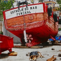 C&Atilde;&cent;mara de Lobos 120x120 2015